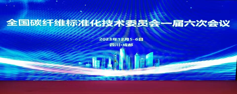 碳纤维会标.jpg