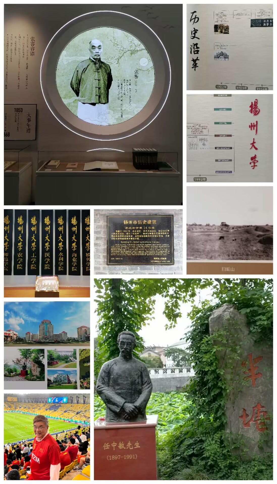 扬合4.jpg
